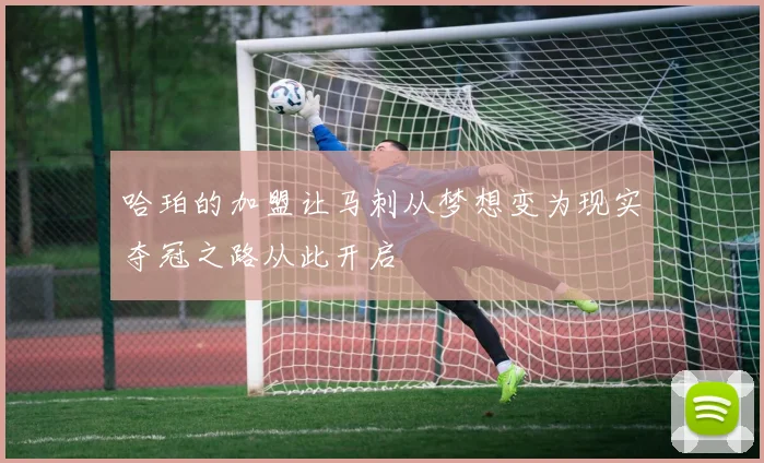哈珀的加盟让马刺从梦想变为现实夺冠之路从此开启