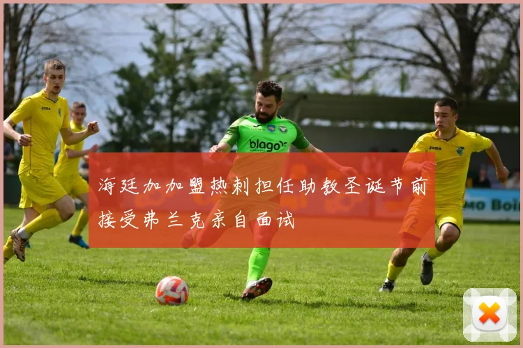 海廷加加盟热刺担任助教圣诞节前接受弗兰克亲自面试